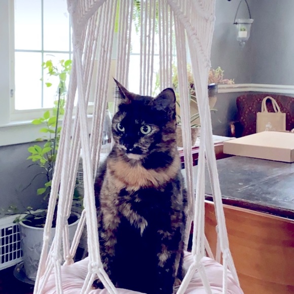 ✨🌌 Organic Cat Nip infused Macrame Cat  Bohostyle Beds🌌 - Picture 10 of 11
